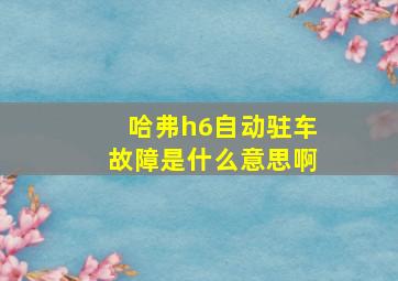 哈弗h6自动驻车故障是什么意思啊