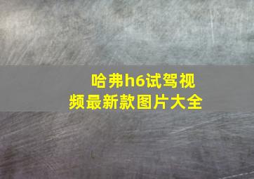 哈弗h6试驾视频最新款图片大全