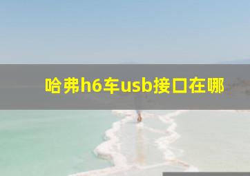 哈弗h6车usb接口在哪