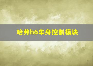 哈弗h6车身控制模块