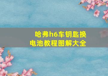 哈弗h6车钥匙换电池教程图解大全