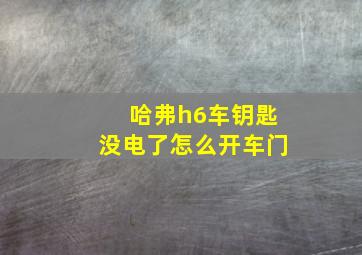 哈弗h6车钥匙没电了怎么开车门