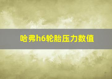 哈弗h6轮胎压力数值