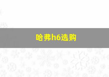 哈弗h6选购