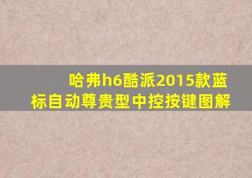 哈弗h6酷派2015款蓝标自动尊贵型中控按键图解