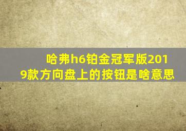 哈弗h6铂金冠军版2019款方向盘上的按钮是啥意思