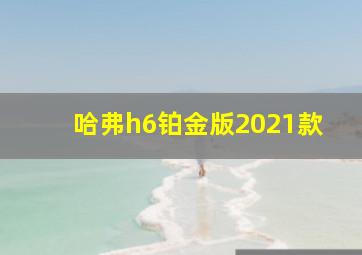 哈弗h6铂金版2021款