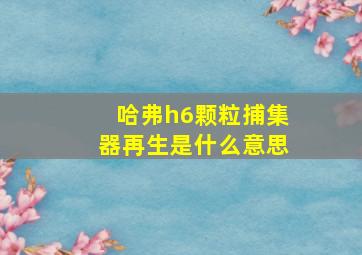 哈弗h6颗粒捕集器再生是什么意思