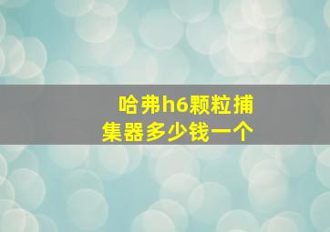 哈弗h6颗粒捕集器多少钱一个