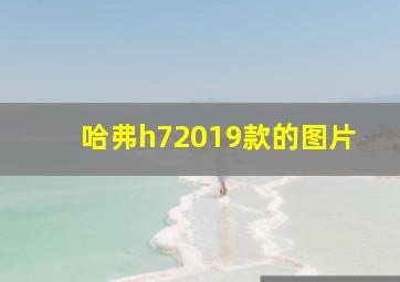 哈弗h72019款的图片