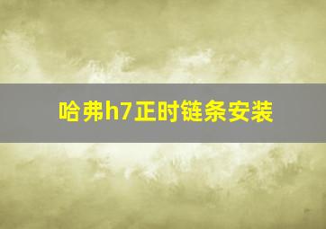 哈弗h7正时链条安装