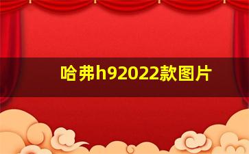 哈弗h92022款图片