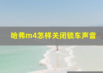 哈弗m4怎样关闭锁车声音