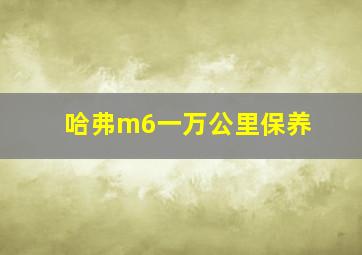 哈弗m6一万公里保养