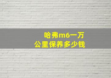 哈弗m6一万公里保养多少钱