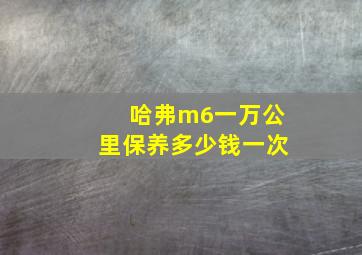 哈弗m6一万公里保养多少钱一次