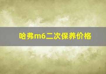 哈弗m6二次保养价格