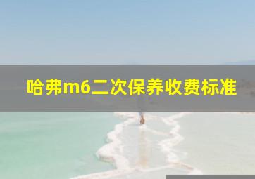 哈弗m6二次保养收费标准