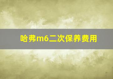 哈弗m6二次保养费用