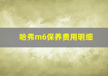 哈弗m6保养费用明细