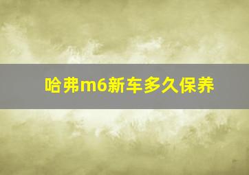 哈弗m6新车多久保养