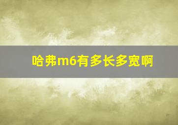 哈弗m6有多长多宽啊