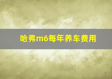 哈弗m6每年养车费用