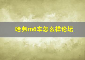 哈弗m6车怎么样论坛