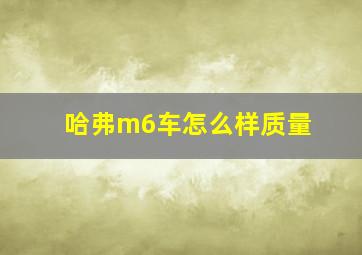 哈弗m6车怎么样质量