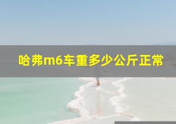 哈弗m6车重多少公斤正常