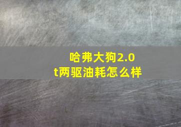 哈弗大狗2.0t两驱油耗怎么样