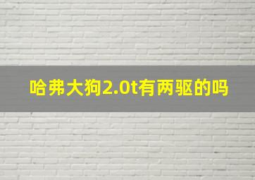 哈弗大狗2.0t有两驱的吗