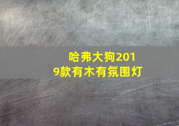 哈弗大狗2019款有木有氛围灯