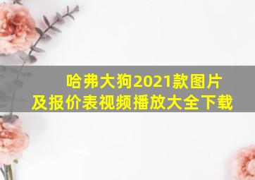 哈弗大狗2021款图片及报价表视频播放大全下载