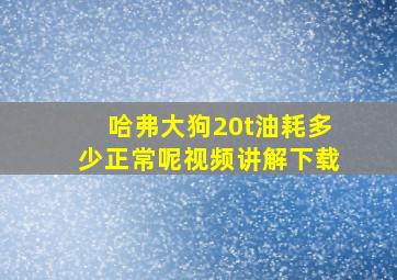 哈弗大狗20t油耗多少正常呢视频讲解下载