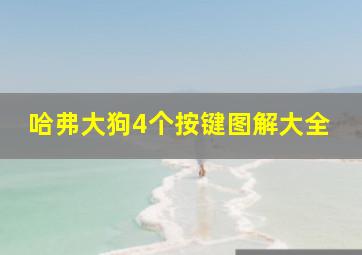 哈弗大狗4个按键图解大全