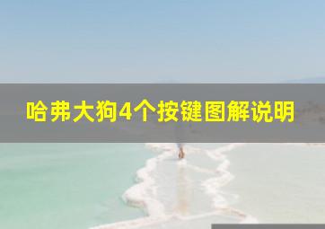 哈弗大狗4个按键图解说明