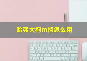 哈弗大狗m挡怎么用