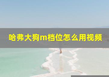 哈弗大狗m档位怎么用视频