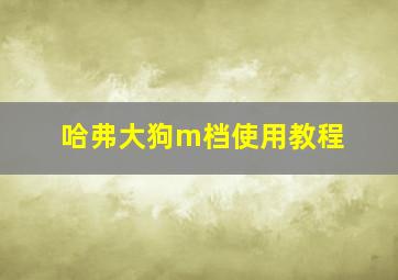 哈弗大狗m档使用教程