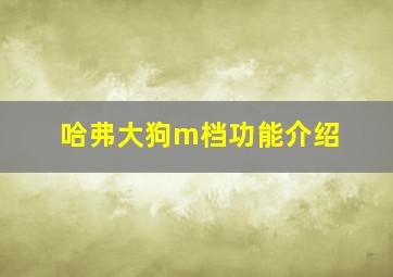 哈弗大狗m档功能介绍