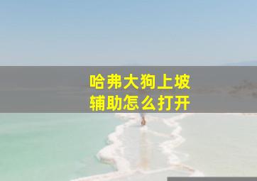 哈弗大狗上坡辅助怎么打开