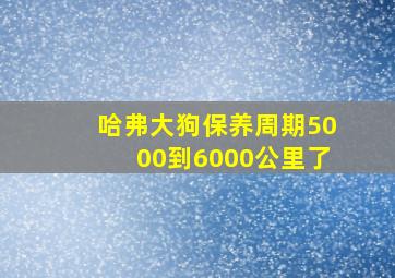 哈弗大狗保养周期5000到6000公里了