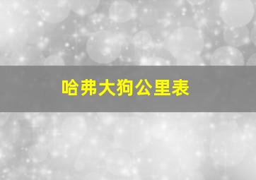 哈弗大狗公里表