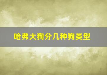 哈弗大狗分几种狗类型