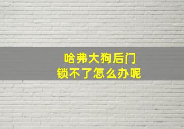 哈弗大狗后门锁不了怎么办呢