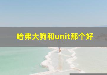 哈弗大狗和unit那个好