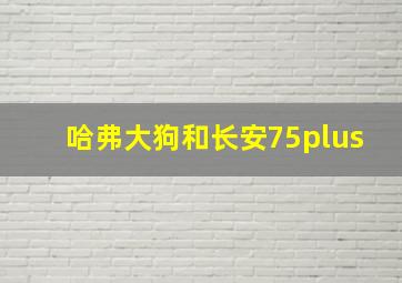 哈弗大狗和长安75plus