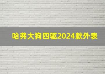 哈弗大狗四驱2024款外表