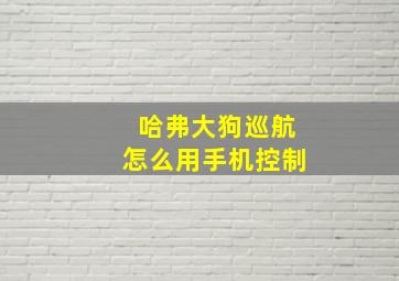 哈弗大狗巡航怎么用手机控制